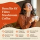 thumbnail image 5 of Suplemento Fidus 16 en 1 de café con hongos, 60 000 mg, 50 porciones, 5 of 7