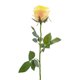 thumbnail image 1 of DII Flor Cerrada Rosa Amarilla (Juego de 4) Design Imports CAMZ33636, 1 of 2
