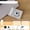 Star silvery [Can be used for front selfie video + multiple filters], variant on Ccd Digital Camera Dual Lens Selfie Compact Travel Camera Easy To Carry | Mixed Color, Usb Charging, Rechargeable Lithium Polymer Battery
