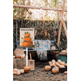thumbnail image 2 of Eveokoki Thanksgiving Yard Sign Aluminum Fall Pumpkin Yard Stakes 8x12Inch Garden Decorations Welcome Sign for Autumn Harvest Outdoor Lawn Patio Walkway Decor, 2 of 6