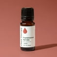 thumbnail image 6 of Plant Therapy Frankincense Serrata Essential Oil 100% Pure, Undiluted, Natural Aromatherapy, Therapeutic Grade 10 mL (1/3 oz), 6 of 8