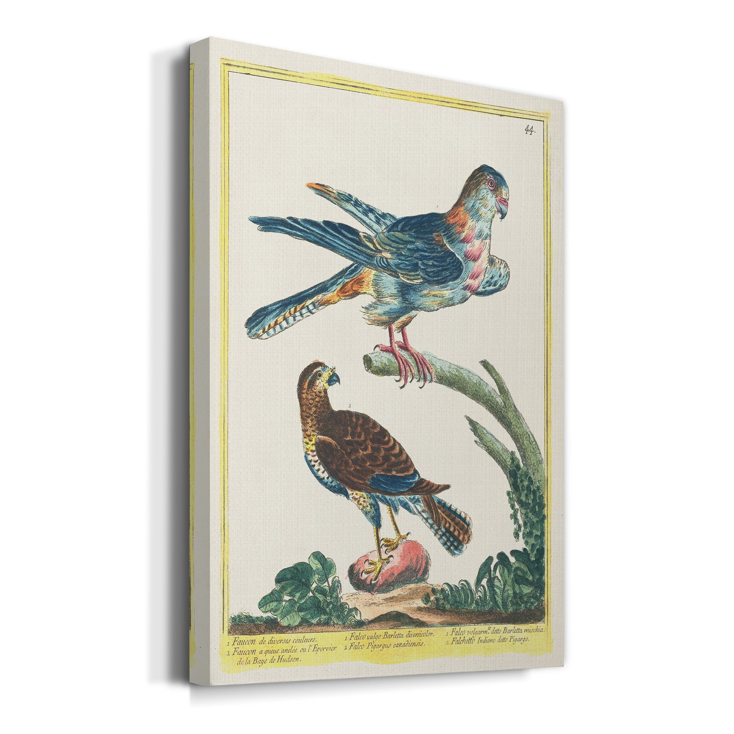 Pastel Birds III Premium Gallery Wrapped Canvas - Ready to Hang
