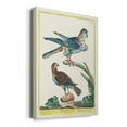 thumbnail image 2 of Pastel Birds III Premium Gallery Wrapped Canvas - Ready to Hang, 2 of 7