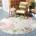 thumbnail image 3 of SAFAVIEH Barbados Flamingos Outdoor Area Rug, Grey/Pink, 6'6" x 6'6" Round, 3 of 8