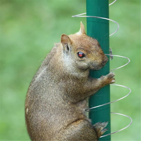 Squirrel Proof Spring Squirrel Baffle Squirrel Barrier Bird Feeders For Small Birds Squirrel Baffle Walking Spring Anti Squirrel Bird Feeder Wrap Around Squirr