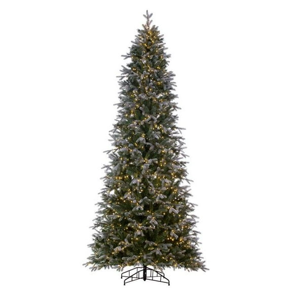Vickerman K224588LED 10 ft. x 54 in. Frosted Douglas Pre-Lit Christmas Tree with 3 mm 2000 Warm White