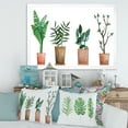 thumbnail image 3 of Designart 'Duo of Potted Flowers House Plants In Claypots' Farmhouse Framed Art Print, 3 of 4