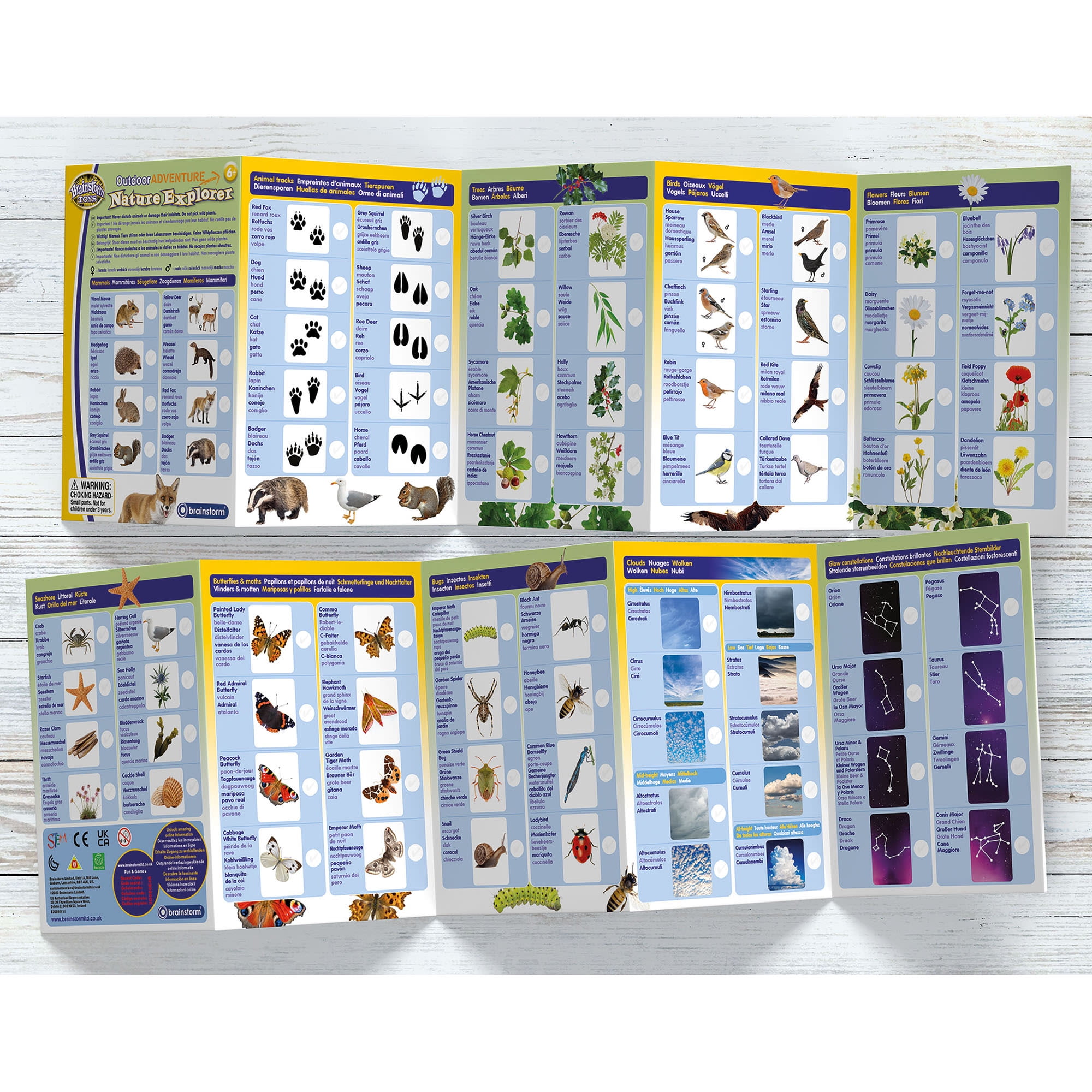 Brainstorm Toys: Outdoor Adventure Nature Explorer - 5 Double-Sided Spotter Cards, Match Cards & Images, Kids Ages 6+
