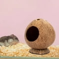 thumbnail image 4 of Coconut Shell House for Hamsters, Raw Coco Husk, Pet Hiding House, Climber or Chew Toy, for Mice, Rats, Gerbils, 4 of 8