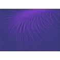 thumbnail image 1 of Ahgly Company Indoor Rectangle Patterned Purple Amethyst Purple Area Rugs, 2' x 3', 1 of 6