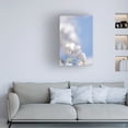 thumbnail image 4 of Canvas Wall Art - Life BeautifuLEE 'White Flowers Kissing Blue Sky 11' Wall Art for Living Room, Bedroom, or Office Décor by Trademark Fine Art - 22 x 32 Inches, 4 of 4