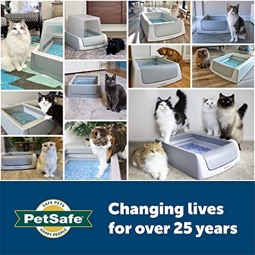 Petsafe ultra cheap