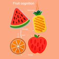 thumbnail image 3 of Jusqu'à 60 % de Réduction SEMPAI Planche à Enfiler Fruits Jouets de Concentration pour Enfants jusqu'à 45 % de Réduction Boxe Jour, 3 of 3