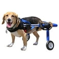 thumbnail image 5 of Walkin' Wheels Dog Wheelchair - Vet Approved - Medium Dogs 26 - 49 lbs, 5 of 10