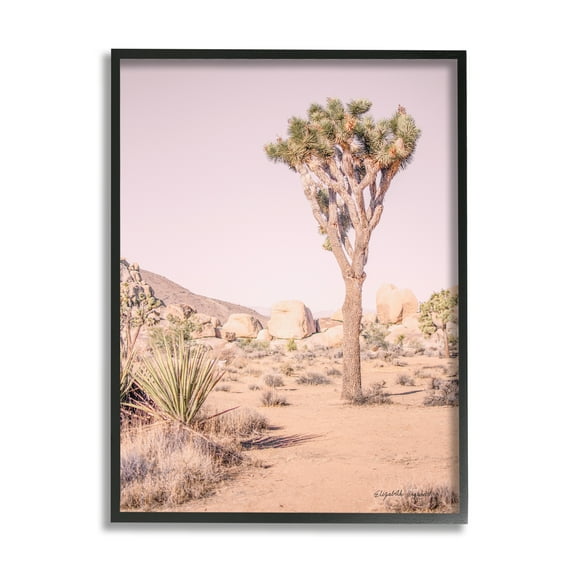 Stupell Industries Desert Tree and Agave Plant Sun Bleach Sky Nature Photography Black Framed Art Print Wall Art, 11 x 14