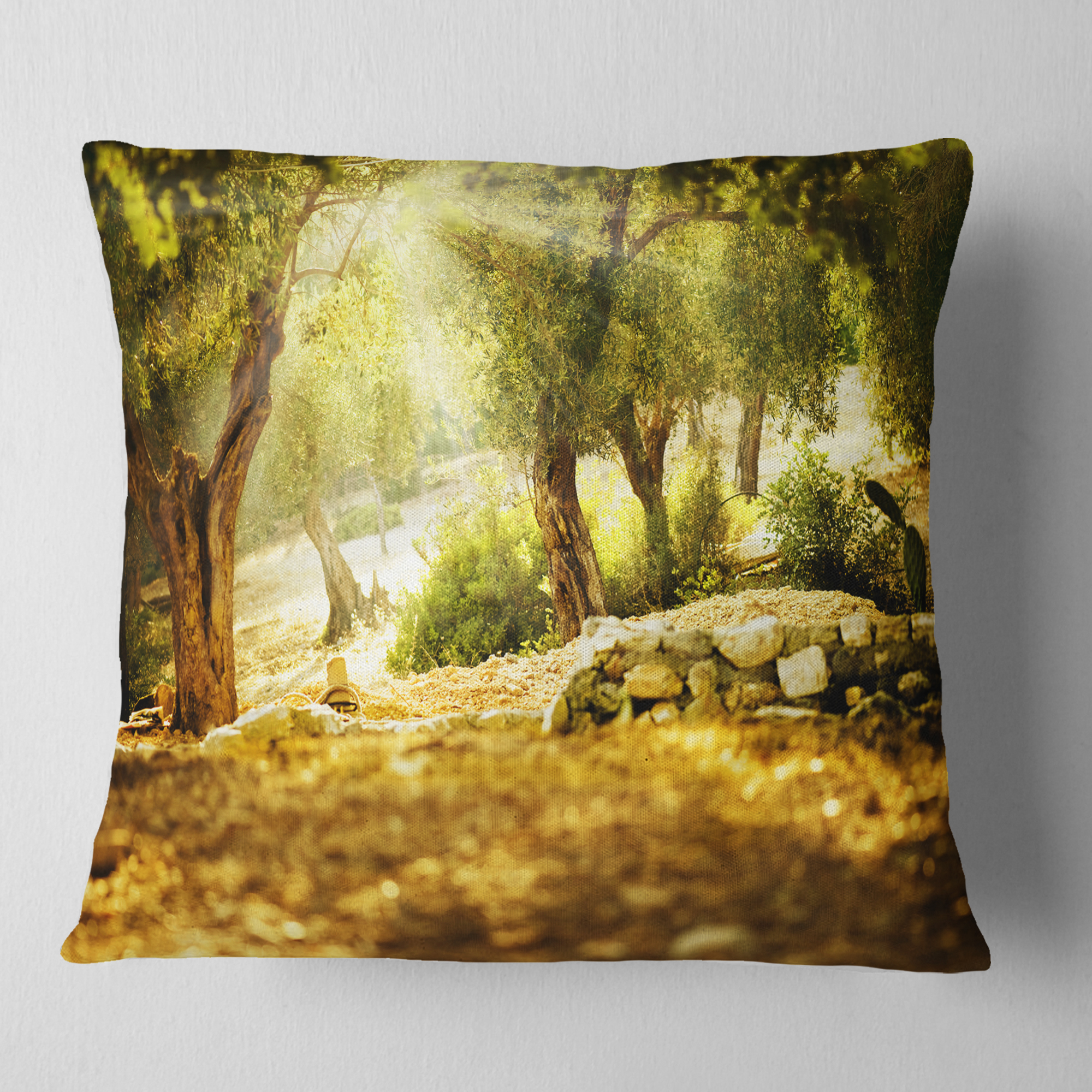 Designart Olive Trees - Photography Throw Pillow - 18x18