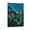 Frame-style, variant on Posters for Room Aesthetic Adolf Erbslöh Art Work Home Decor Poster Wall Art Hanging Picture Print Bedroom Decorative Painting Posters Room Aesthetic 12x18inch(30x45cm)