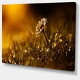 thumbnail image 2 of Vintage Wild Flower In Sunset - Large Floral Canvas Art Print, 2 of 4