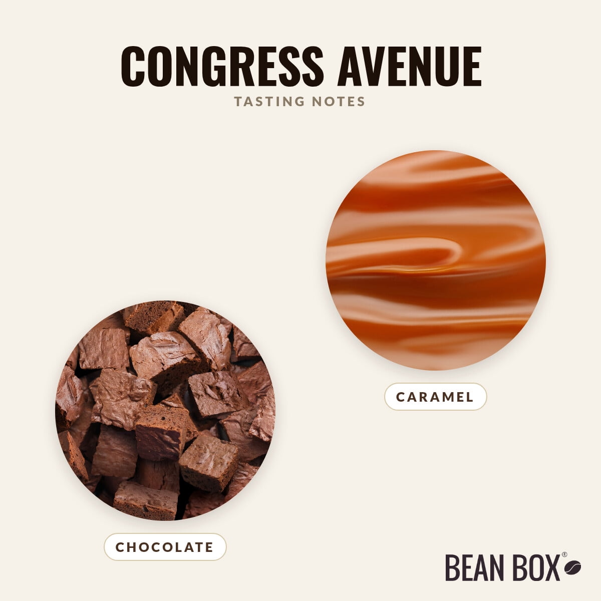 Congress Avenue - Roasted by Little City Coffee Roasters - Whole Bean Coffee - 5lb Bag
