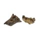 thumbnail image 1 of Things2Die4 Juego de 2 portavelas dobles de madera de raíz de Gamal natural - 8 pulgadas Things2Die4 CHF2, 1 of 3