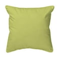 thumbnail image 2 of Betsy Drake ZP121 Oyster Throw Pillow- 22 x 22 in., 2 of 2