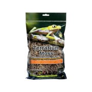 Natural Spanish Moss for Tropical & Forest Terrariums (Mini Bag)