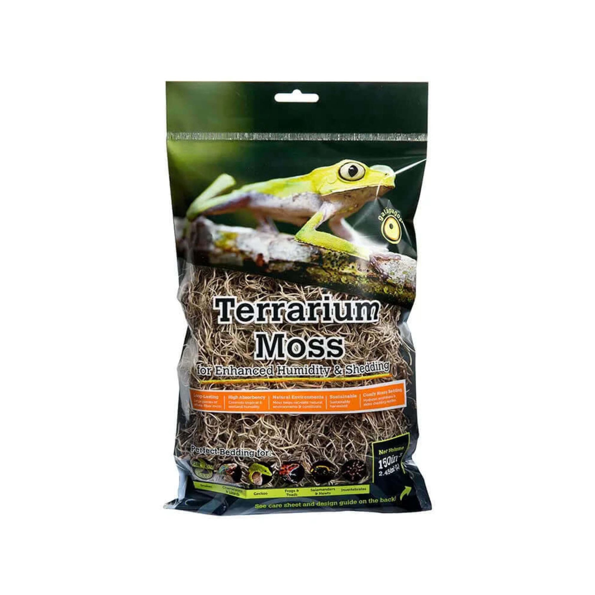 Natural Spanish Moss for Tropical & Forest Terrariums (Mini Bag)