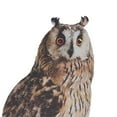 thumbnail image 6 of 1pcs Owl Bait Scares Birds Away From Gardens, Roofs And Patios-Scarecrow Provides Natural Pest Control-Safety And Humanity-False Owl Bait Scares Birds Away From Home Garden Owl Decorations, 6 of 12