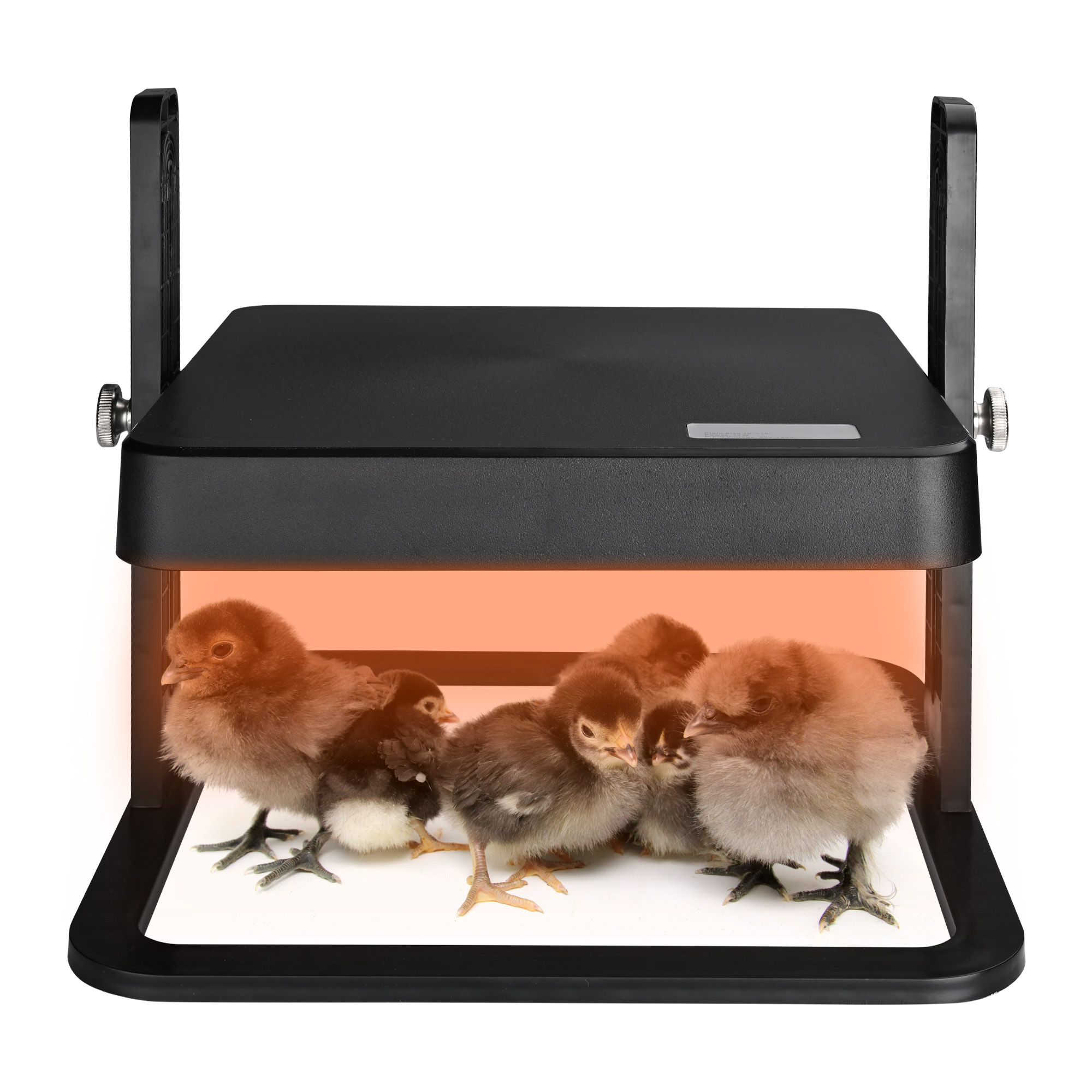10"x10" Chick Heating Plate Brooder Plate Adjustable Height Warms Up to 15 Chick