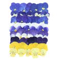 thumbnail image 1 of Wisewang Pressed Non-Edible Flowers, Fashion Soft Sturdy And Suitable For Cake Embellishments, Prom Craft Projects. Vibrant Colorful 40 Film, 1 of 6