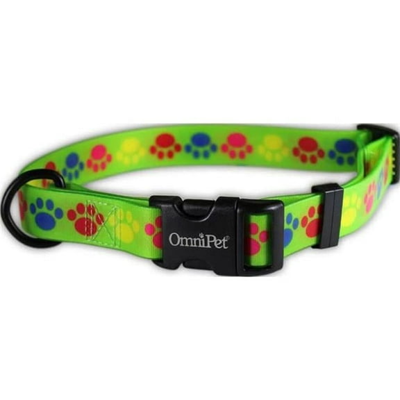 Leather Brothers 19204-09 1 x 18 x 26 in. Attitudz Pop Paws Biothane Dog Collar