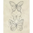 thumbnail image 2 of Vess, June Erica 12x14 White Modern Wood Framed Museum Art Print Titled - Vintage Butterfly Sketch II, 2 of 4