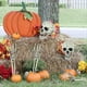 thumbnail image 4 of 1 Juego de Calavera Realista de Halloween con Cabeza de Esqueleto, y Manos Humanas, Decoración para Fiesta de Halloween, Hogar, Jardín y Césped., 4 of 6