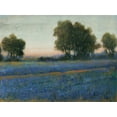 thumbnail image 2 of OToole, Tim 18x15 Black Ornate Wood Framed with Double Matting Museum Art Print Titled - Blue Bonnet Field II, 2 of 4