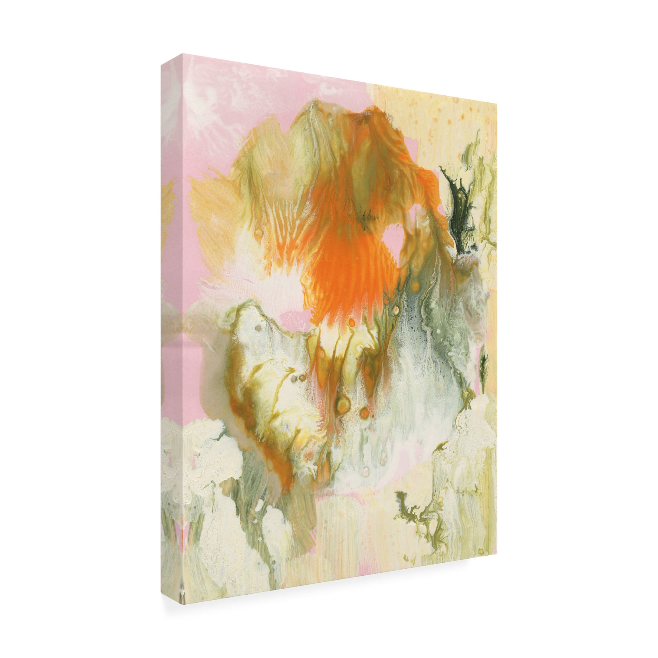 Trademark Fine Art Ferdos Maleki Sleeping Beauty I Canvas Wall Art