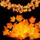 thumbnail image 1 of Fall Decor [2 Pack] Lighted Fall Garland, Total 20ft 40 Led Thanksgiving Decor Halloween String Lights, Friendsgiving Gift Thanksgiving Decorations Fo, 1 of 5