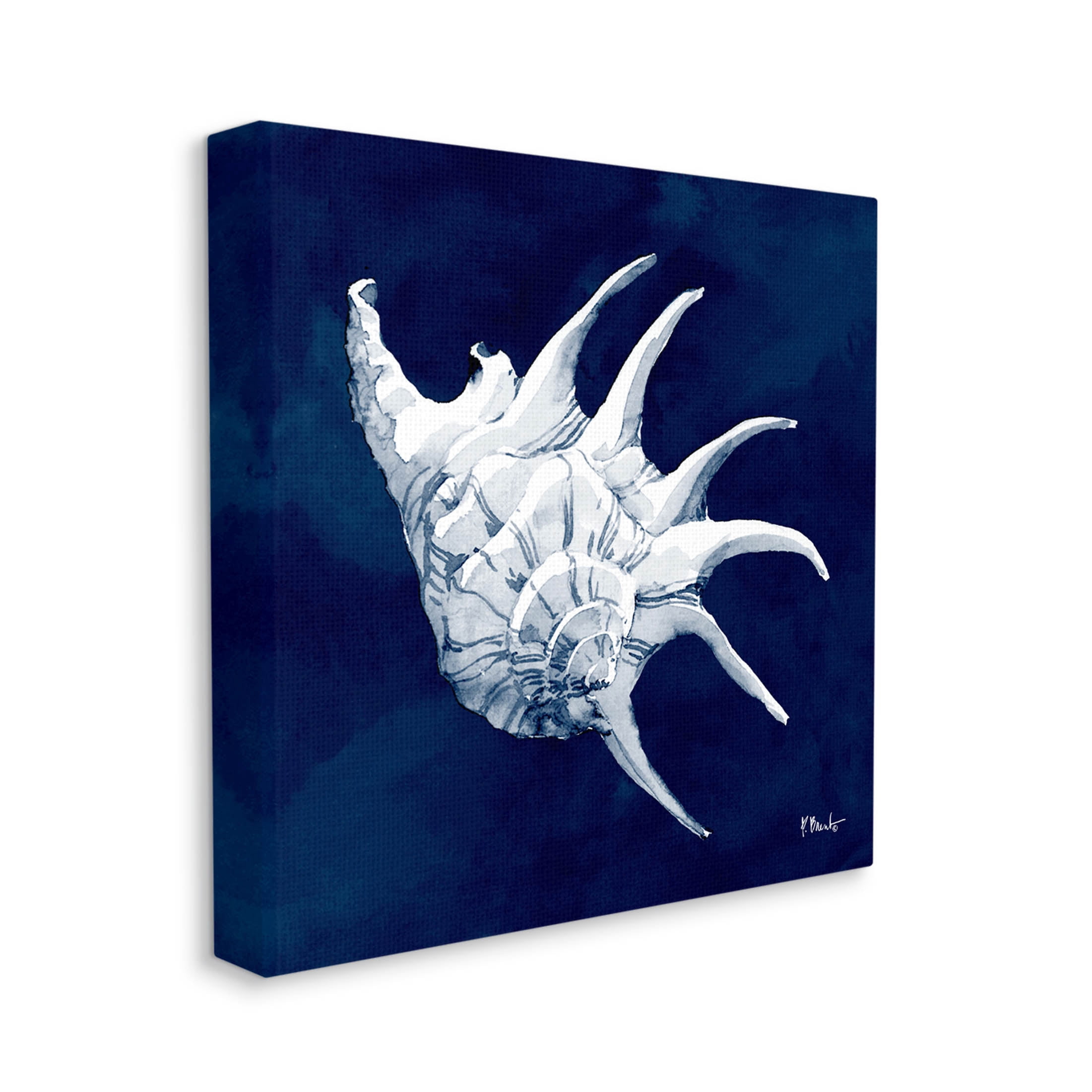 Stupell Industries Cyanotype Shells Traditional Conch Graphic Art Gallery Wrapped Canvas Print Wall Art, Design by Paul Brent