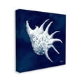 thumbnail image 3 of Stupell Industries Cyanotype Shells Traditional Conch Graphic Art Gallery Wrapped Canvas Print Wall Art, Design by Paul Brent, 3 of 7