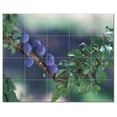 thumbnail image 1 of Fruits Vegetables Ceramic Tile Mural Kitchen Backsplash Bathroom Shower, 405201, 1 of 3