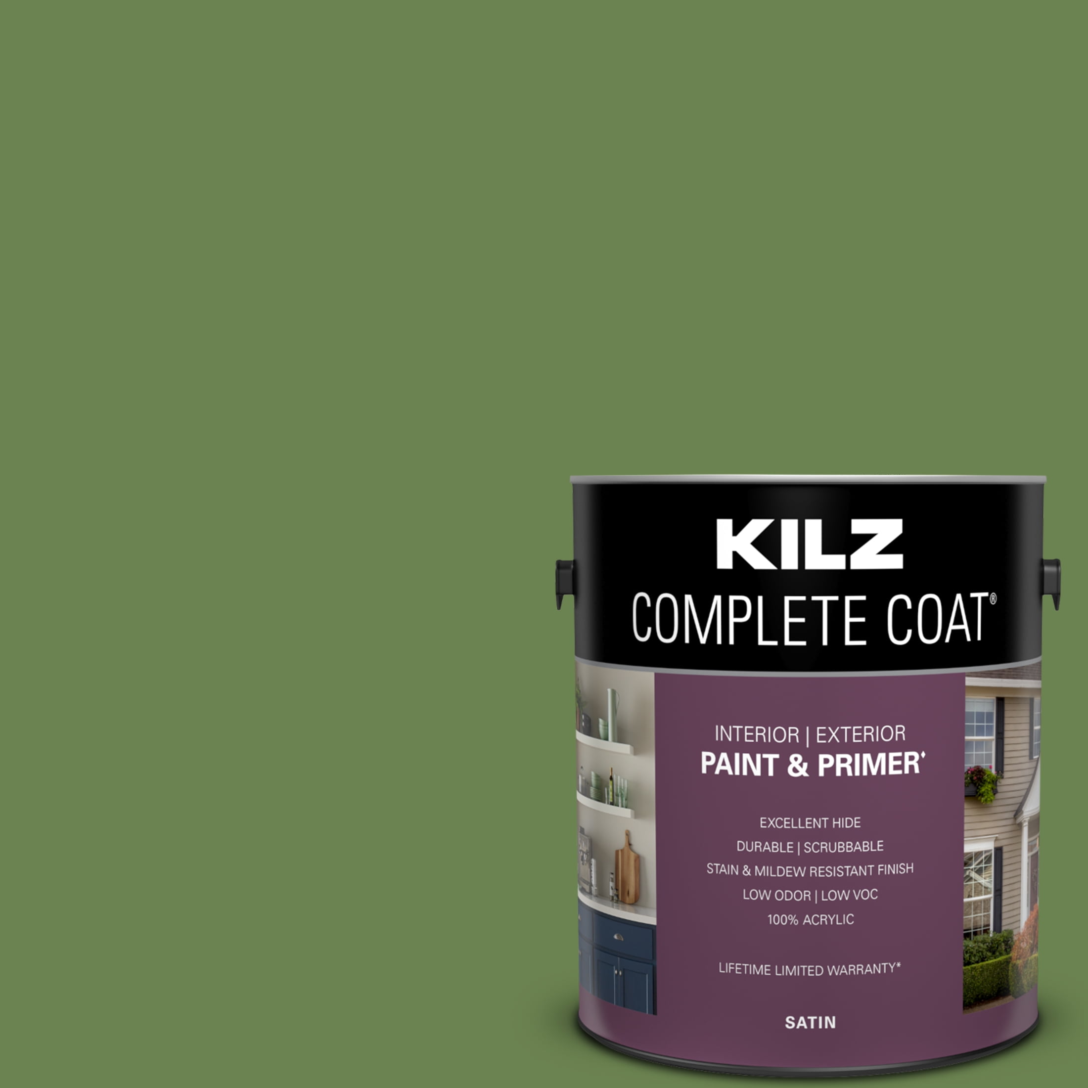 Plant Stem, KILZ Complete Coat Interior/Exterior Paint & Primer, 1 Gallon #LG280-01