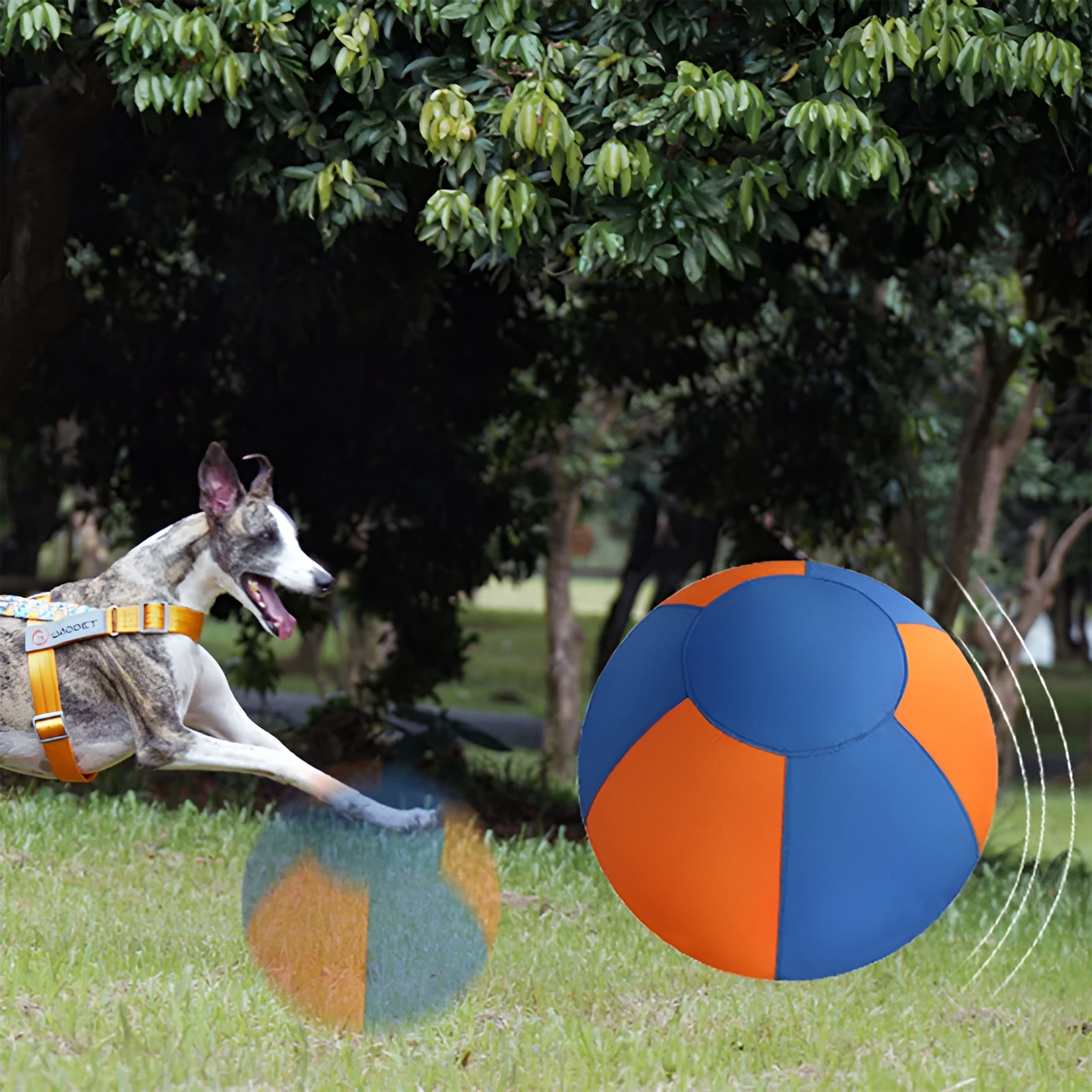 BESTSKY 2026 New Dog Herding Ball for Shepherds,Corgis,Collies Interactive Bouncy Toy Herding Ball for Dogs for Play,Training,Outdoor,Park,Exercise