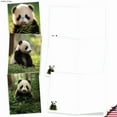 thumbnail image 3 of The Best Card Company 20 Assorted Blank Notecards Boxed Set 4 x 5.12 Inch with Envelopes (10 Designs, 2 Each) Panda Pups AM10041OCB-B2x10, 3 of 6