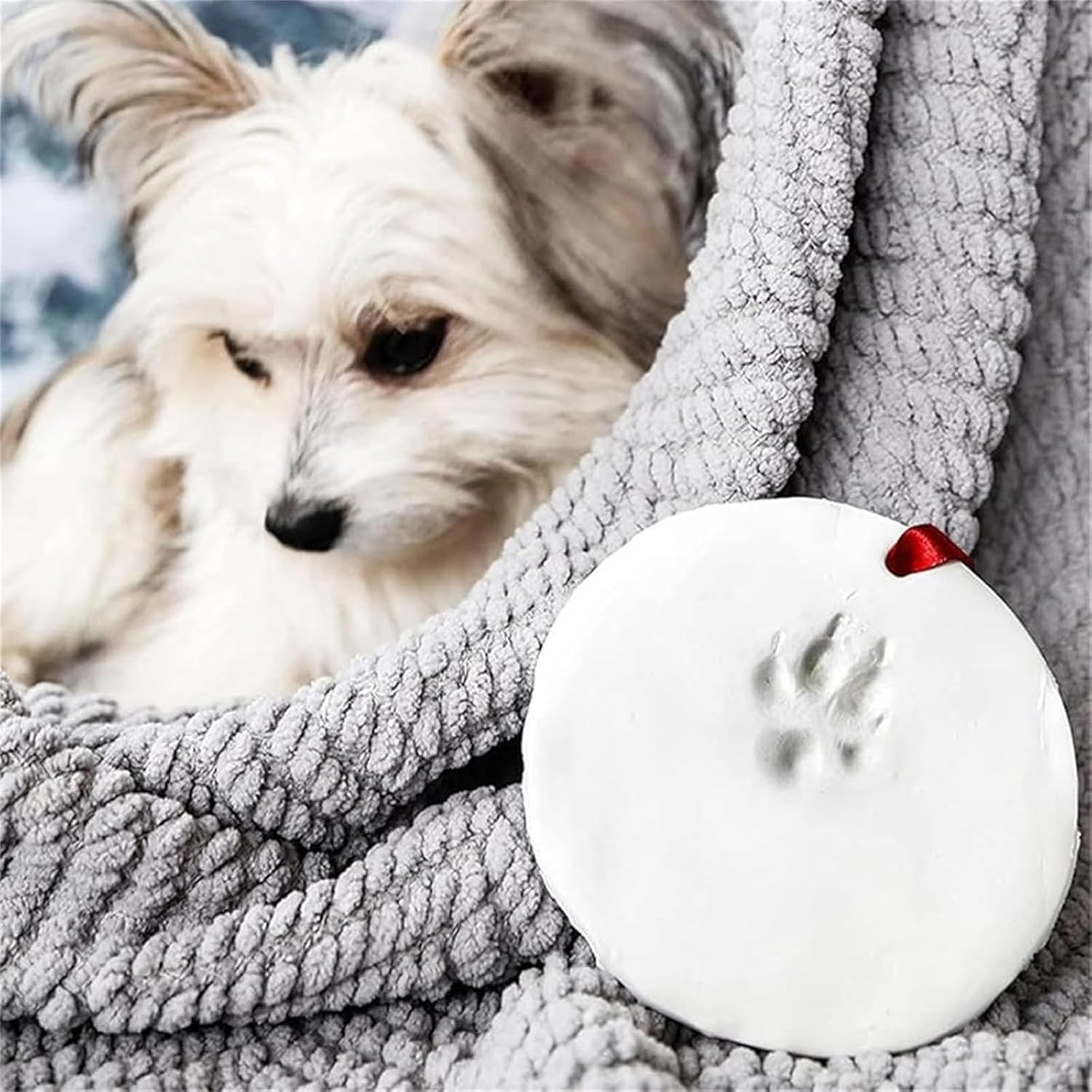 DIY Paw Impression Kit Tubuui Dog Paw Print Kit - Make 2 Clay Keepsakes ...