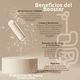 thumbnail image 3 of Akkermansia Booster GLP-1 | Probióticos de nueva Generación | Salud Intestinal, 3 of 6