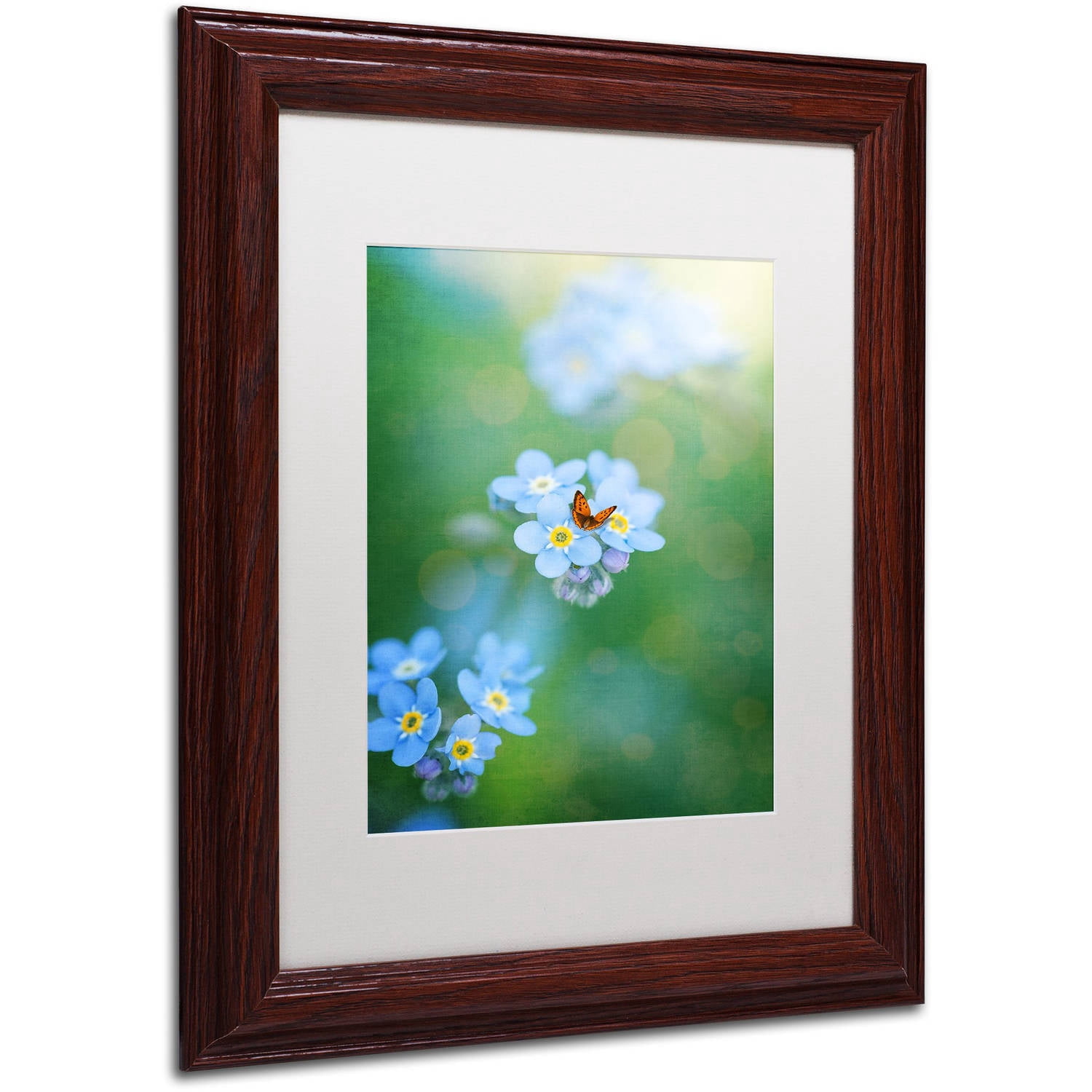 Trademark Fine Art "Forget-Me-Not" Canvas Art by Philippe Sainte-Laudy, White Matte, Wood Frame