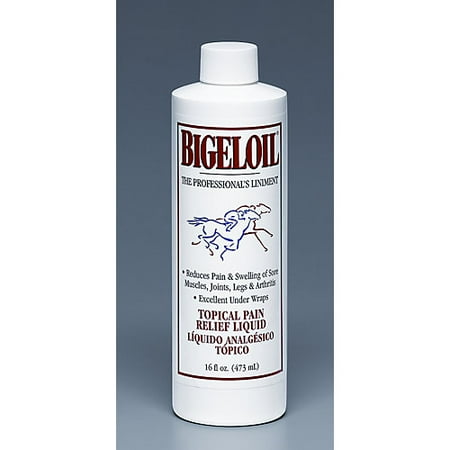 Veterinary Horse Liniment - Bigeloil Horse Liniment 16oz