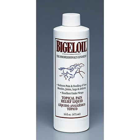 Bigeloil Horse Liniment 16oz (Best Supplement For Horse With Arthritis)