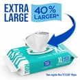 thumbnail image 3 of Toallitas desechables Nice 'N CLEAN, extra grandes, 180 g, sin perfume, 3 of 9