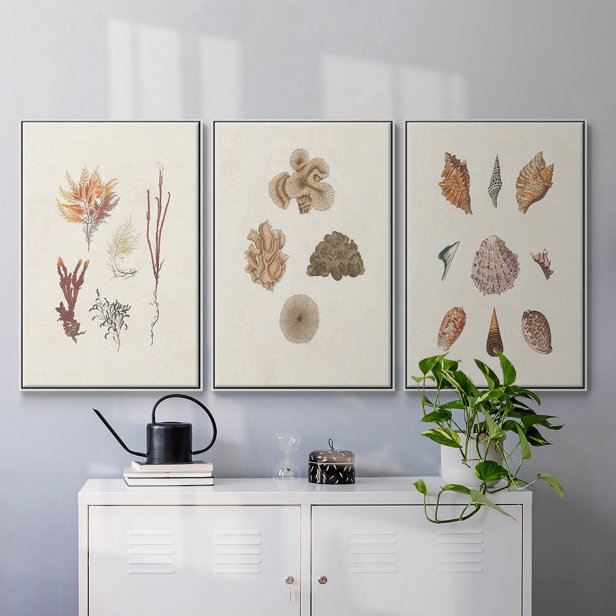 Knorr Shells & Coral VI - Framed Premium Gallery Wrapped Canvas L Frame 3 Piece Set - Ready to Hang
