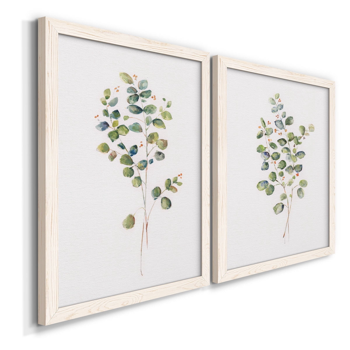 Eucalyptus I - Premium Framed Canvas 2 Piece Set - Ready to Hang